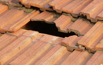 roof repair Gansclet, Highland