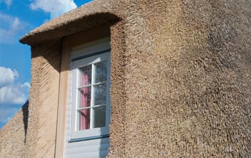Gansclet thatch roof disadvantages