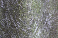 Gansclet fibreglass roof work